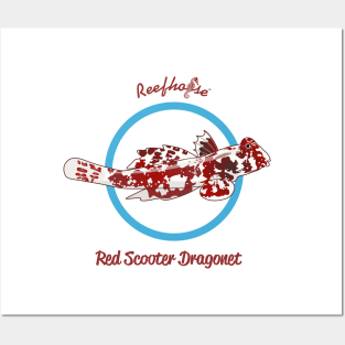 Red Scooter Dragonet Posters and Art